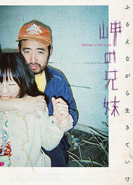 青青伊人 青青伊人